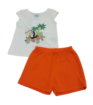 Conjunto Verão - Código 453